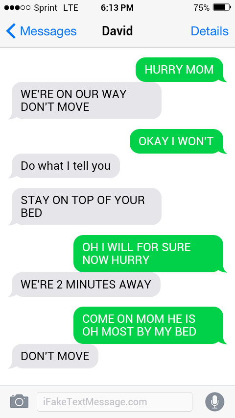 iphone-zDEd - Fake Text Message