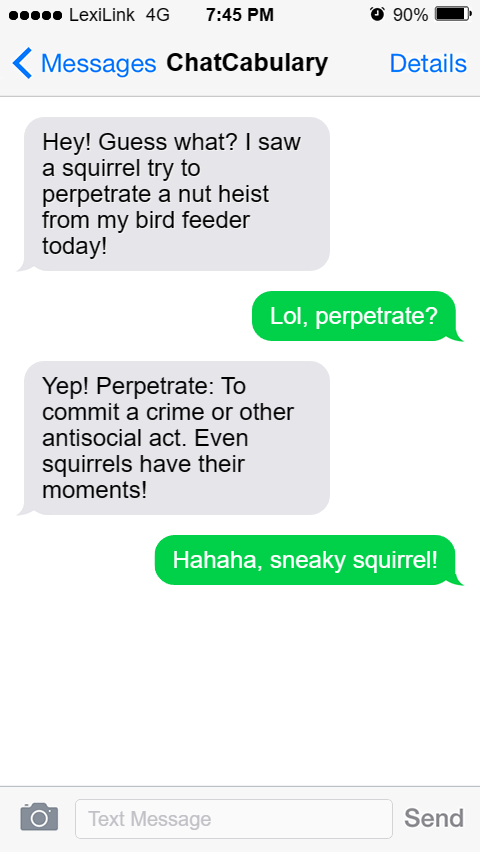 iphone-T63N - Fake Text Message