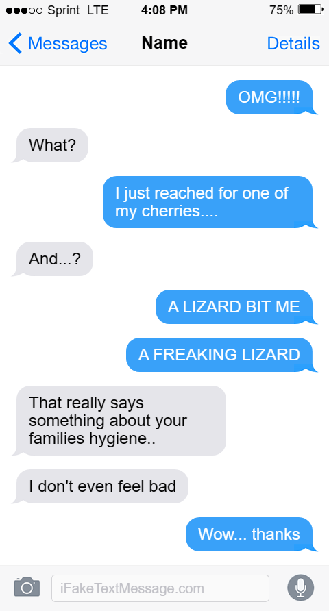 iphone-6bhO - Fake Text Message